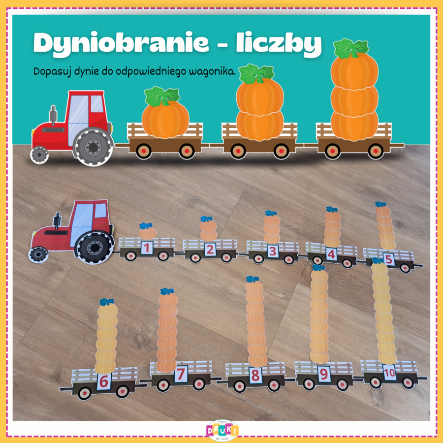 Dzień Dyni - liczenie