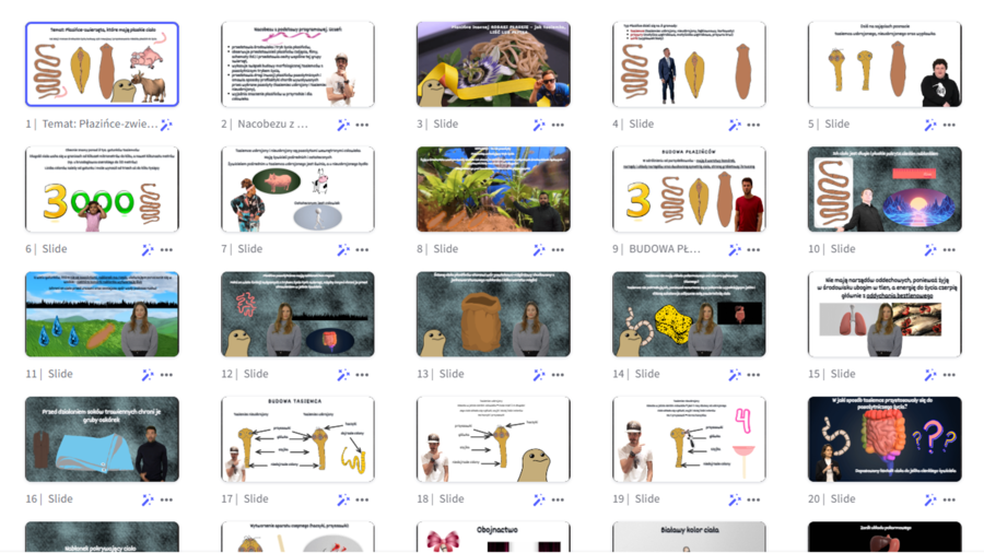 Prezentacja multimedialna w genial.ly „Płazińce-zwierzęta, które mają płaskie ciało” – do edycji i pobrania – biologia klasa VI, dział II – temat 2