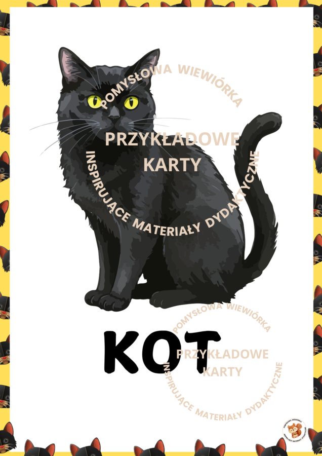 🐱 DZIEŃ KOTA