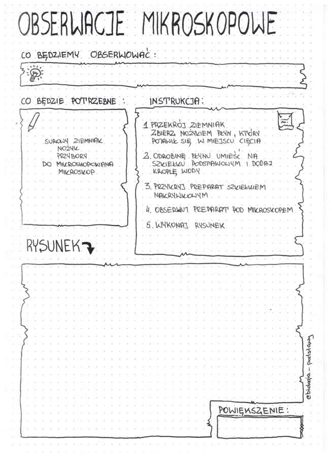 Obserwacje mikroskopowe: klasa 5
