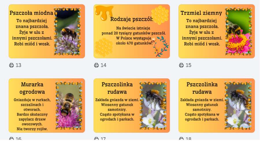 Pakiet Dzień Pszczoły
