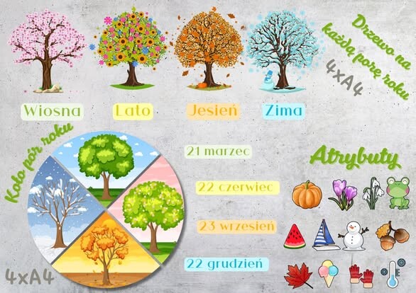 💚 PAKIET PORY ROKU 💚