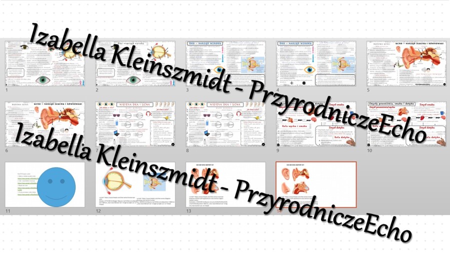 Zestaw sketchnotek i kart pracy + gratisowe linki do prezentacji multimedialnych niekomercyjnych wykonanych w genial.ly do indywidualnego pobrania i użycia do celów niekomercyjnych. Biologia 7, „Narządy zmysłów”