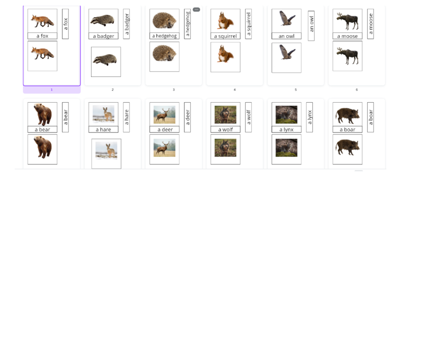 Montessori 3 part cards- forest animals