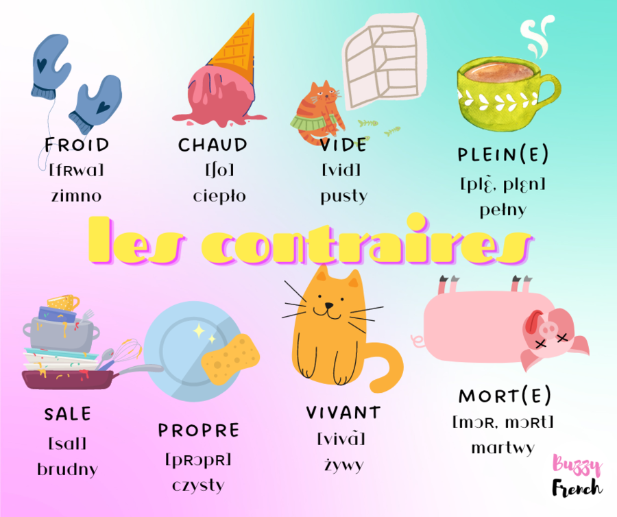 LES CONTRAIRES