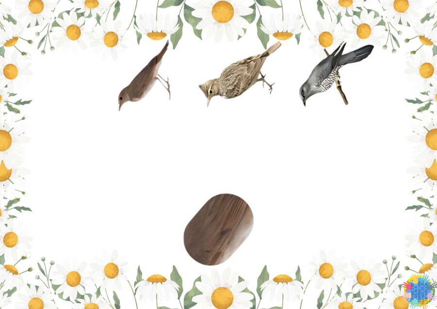 DZIEŃ PTAKÓW - EDUKACYJNA PRZYGODA DLA DZIECI