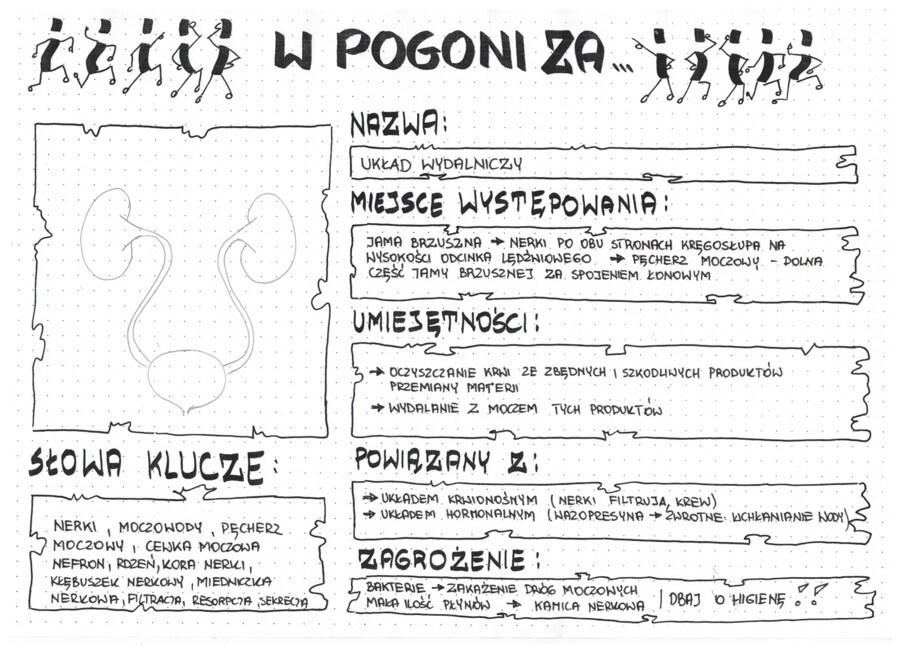 W pogoni za układem wydalniczym
