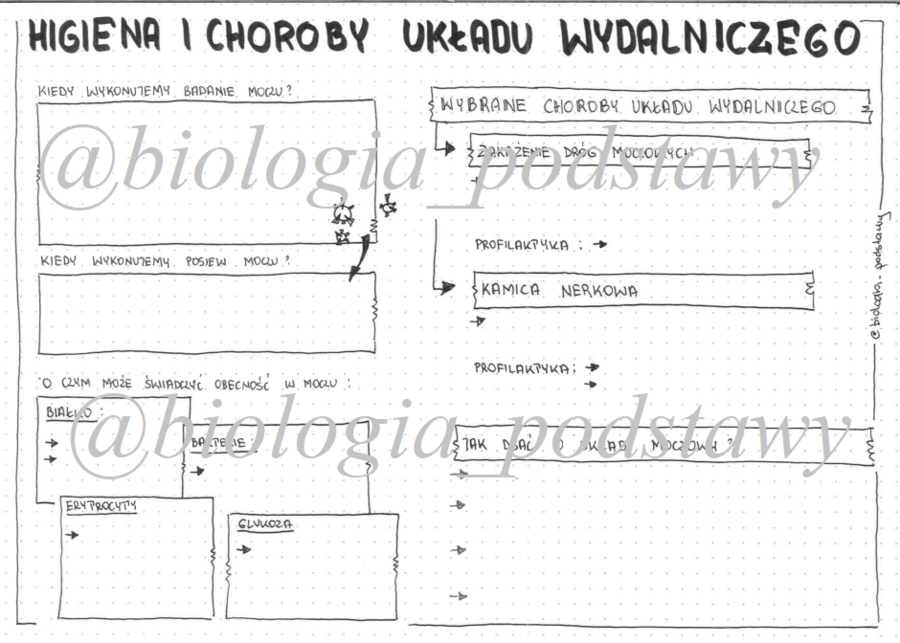 klasa 7 - Higiena i choroby układu wydalniczego - prezentacja
