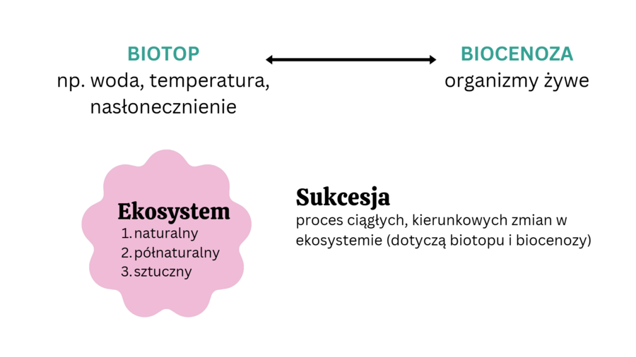 ekologia i różnorodność biologiczna KLASA 4 RZOSZERZENIE BIOLOGIA