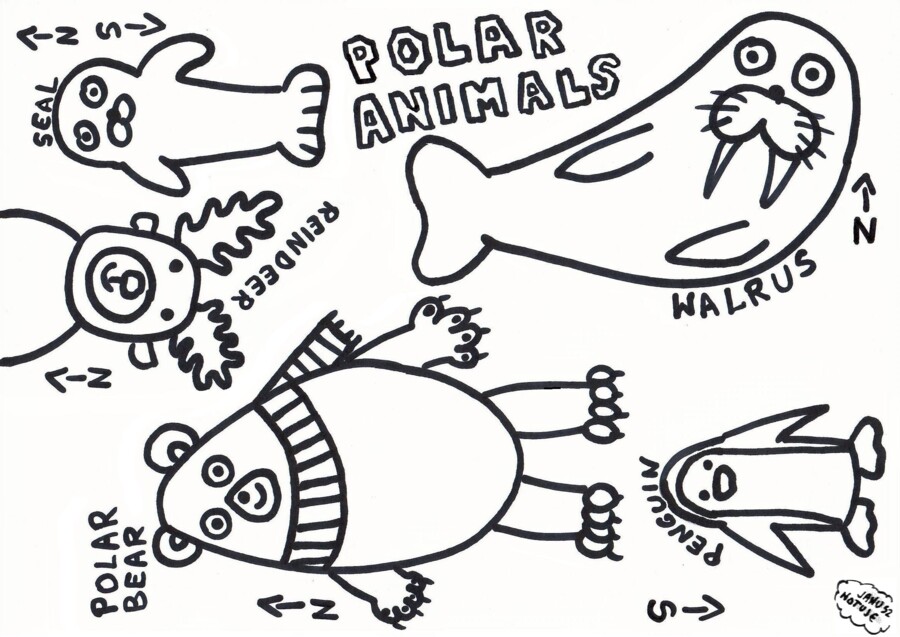 Polar animals
