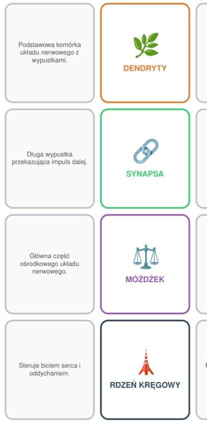 Układ nerwowy memory