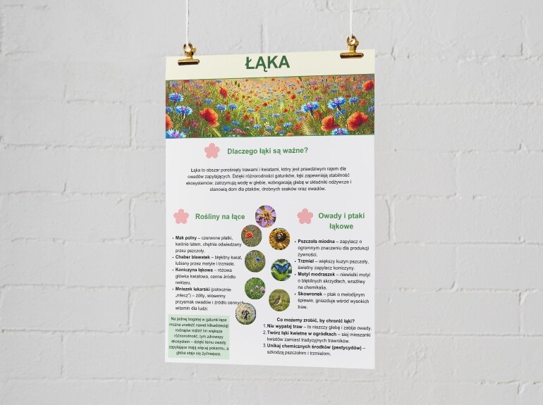 Plakaty o ekosystemach. Las, łąka, jezioro, morze, góry.