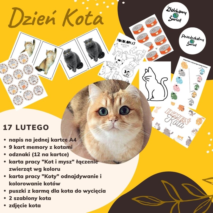 Dzień Kota 17 lutego