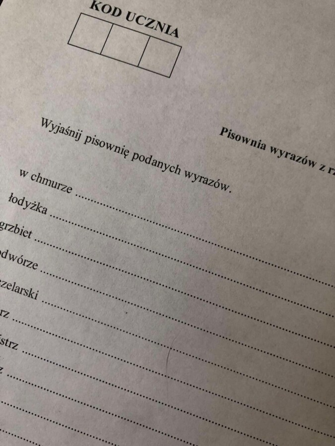 Pisownia wyrazów z rz i ż. Sprawdzian/karta pracy