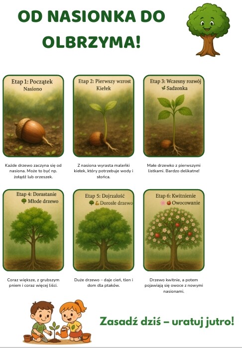 Ekologiczne plakaty edukacyjne. Chronione gatunki zwierząt/roślin, Obieg wody w przyrodzie, Segregacja śmieci, Cykl życia drzewa, Jak dbać o planetę