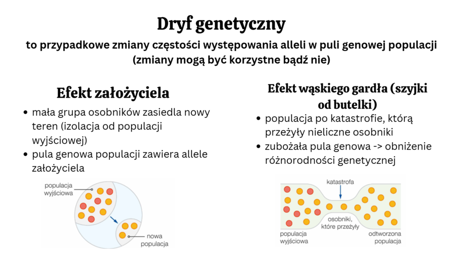 ewolucja organizmów KLASA 4 ROZSZERZENIE BIOLOGIA