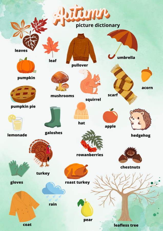 Autumn Picture Dictionary