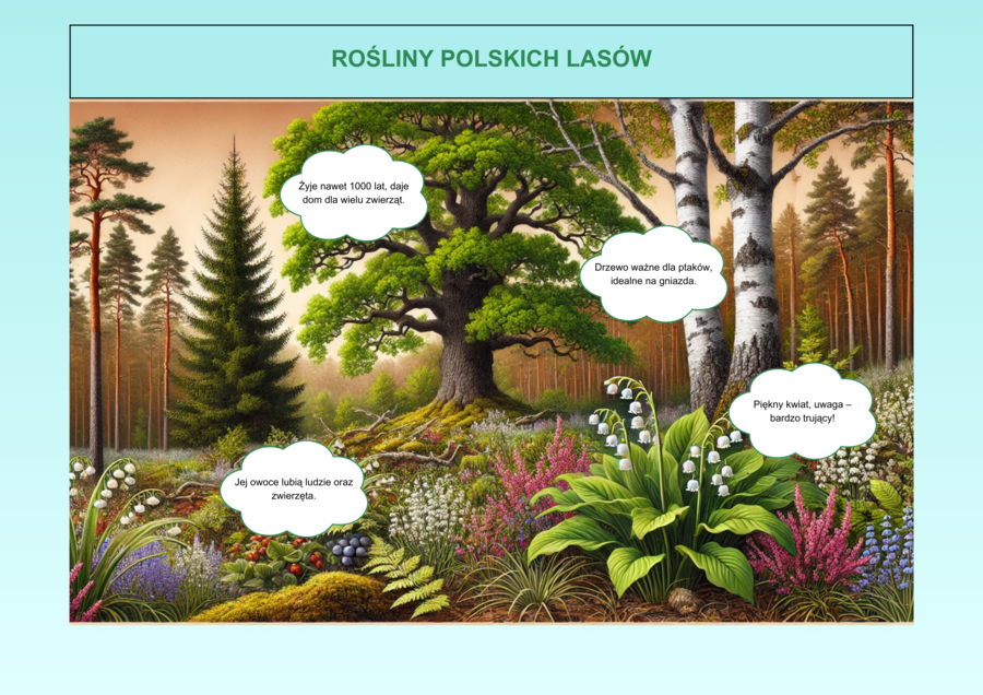Plansze edukacyjne „Ekologia w szkole”