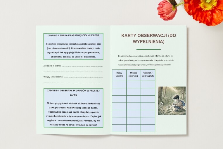 Wycieczki do lasu, parku narodowego, rezerwatu przyrody – obserwacja bioróżnorodności, notatki terenowe.