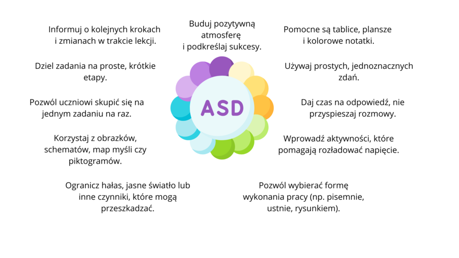 Ebook "Pedagog Specjalny w akcji" + plan pracy pedagoga specjalnego + dodatki