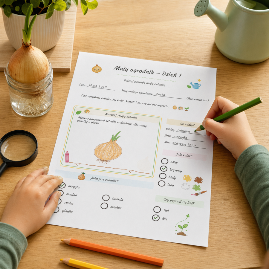 Mały ogrodnik - karta obserwacji cebulki