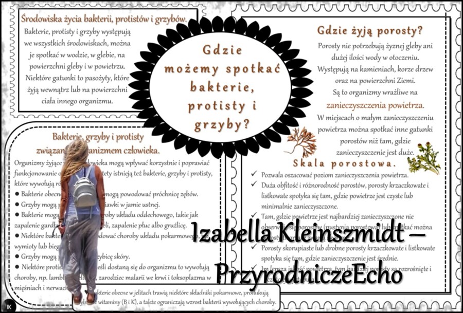 Sketchnotka/notatka/streszczenie/wklejka/ściąga dla ucznia i nauczyciela. Temat „Gdzie możemy spotkać bakterie, protisty i grzyby?” w pdf. Biologia 5 dział „Klasyfikacja i systematyka. Wirusy. Bakterie. Prostisty. Grzyby.”. Wykonana na podstawie podręczn