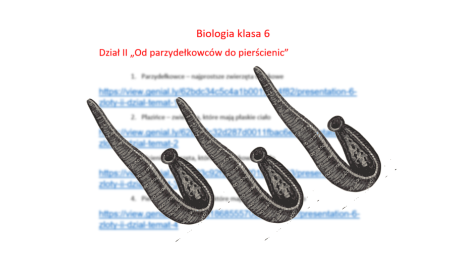 Zestaw prezentacji multimedialnych (4) w genial.ly z biologii do klasy VI. Dział II „Od parzydełkowców do pierścienic” – według wydawnictwa Nowa Era