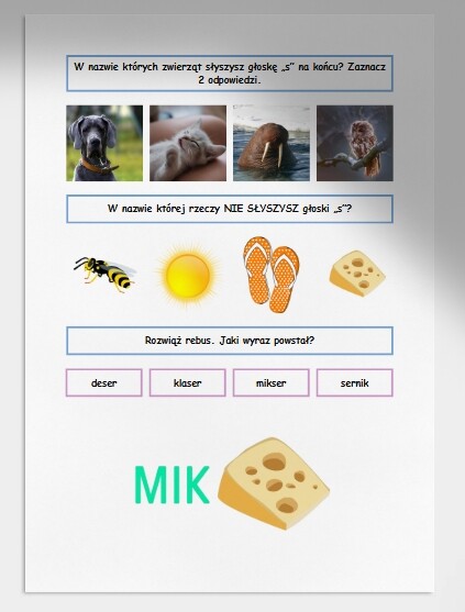 S i s. Karta pracy. Sprawdzian