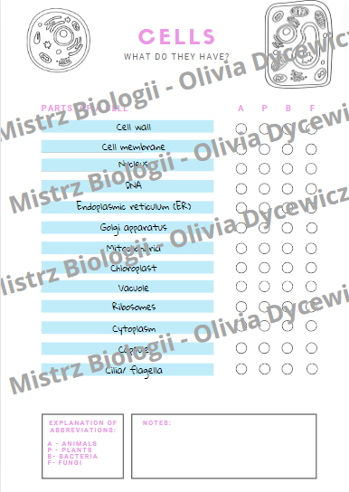 Komórki - porównanie ENG angielskie słownictwo
