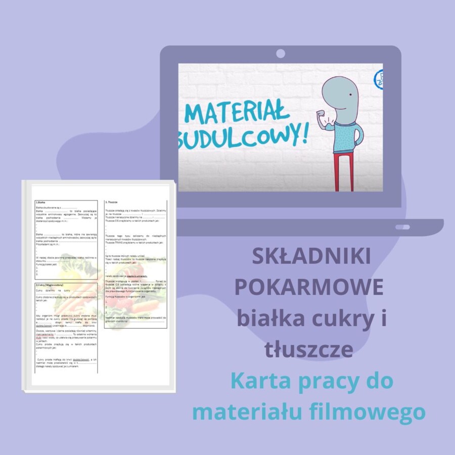 Składniki pokarmowe - białka, cukry, tłuszcze - notatka do filmu