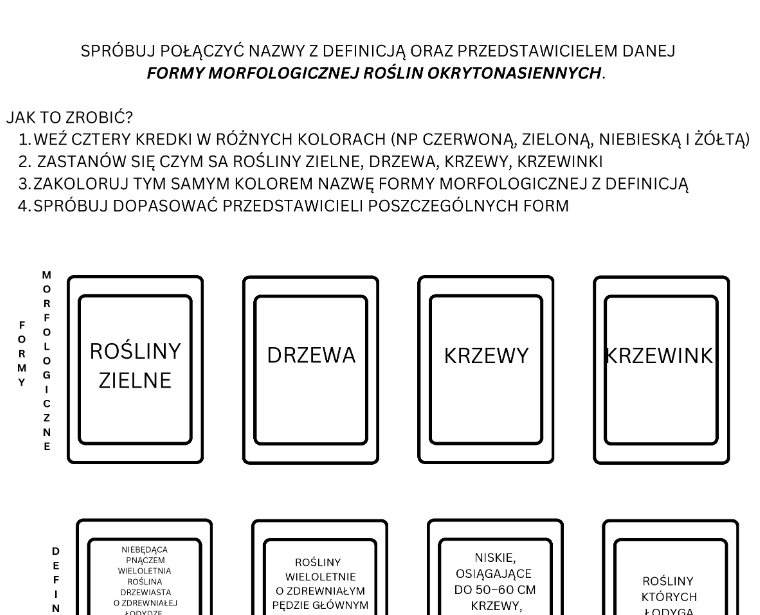 Formy morfologiczne roślin okrytonasiennych