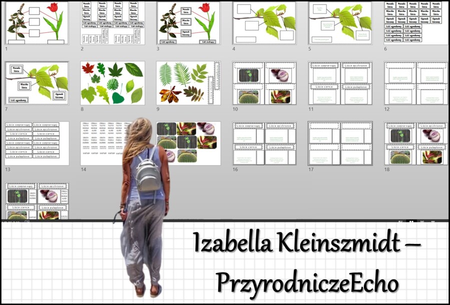 Materiał do zalaminowania/praca w grupach/stacje zadaniowe/układanka/puzzle „Liść – wytwórnia pokarmu” w pdf. Biologia 5, dział „Tkanki i organy roślinne”.