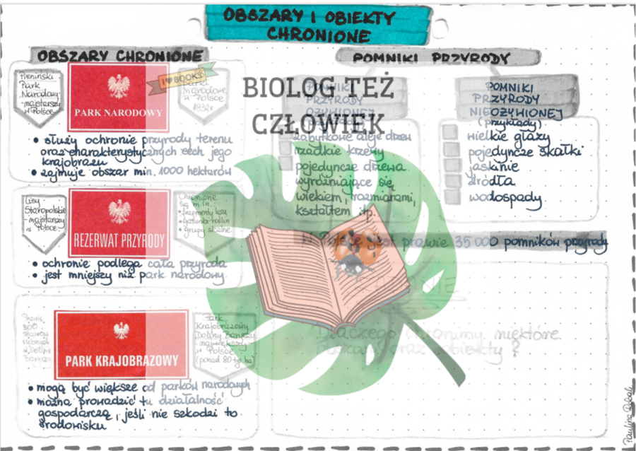 Obszary i obiekty chronione (parki, rezerwaty, pomniki przyrody) - kolor