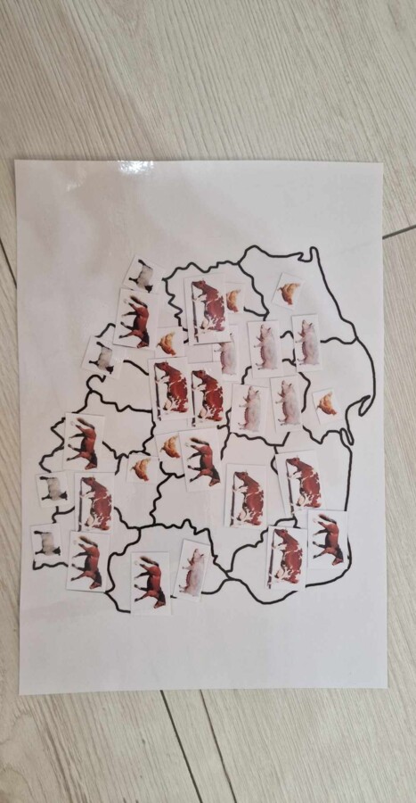 Produkcja zwierzęca w Polsce/do zalaminowana/układanka/puzzle/rozmieszczenie chowu w Polsce/rozpoznawanie gatunków w pdf. „Produkcja zwierzęca”. Geografia 7 "Rolnictwo i przemysł Polski"