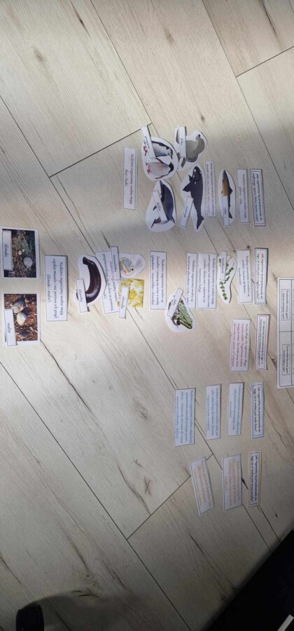 Materiał do zalaminowania/praca w grupach/stacje zadaniowe/układanka/puzzle „Warunki życia w wodzie” w pdf. Przyroda, dział „Odkrywamy tajemnice życia w wodzie i na lądzie”.