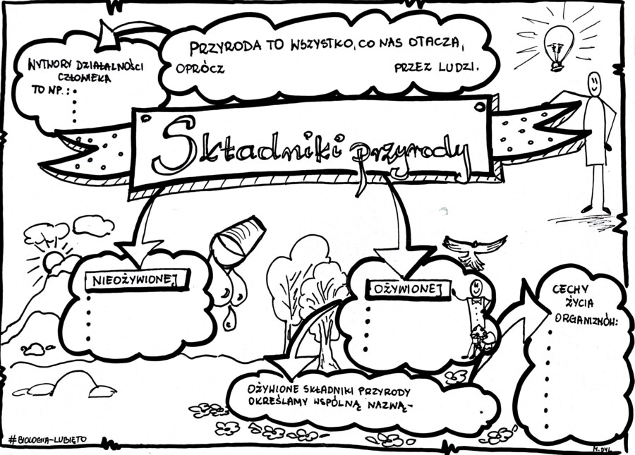 Klasa 4. Przyroda. Karta pracy. Składniki przyrody