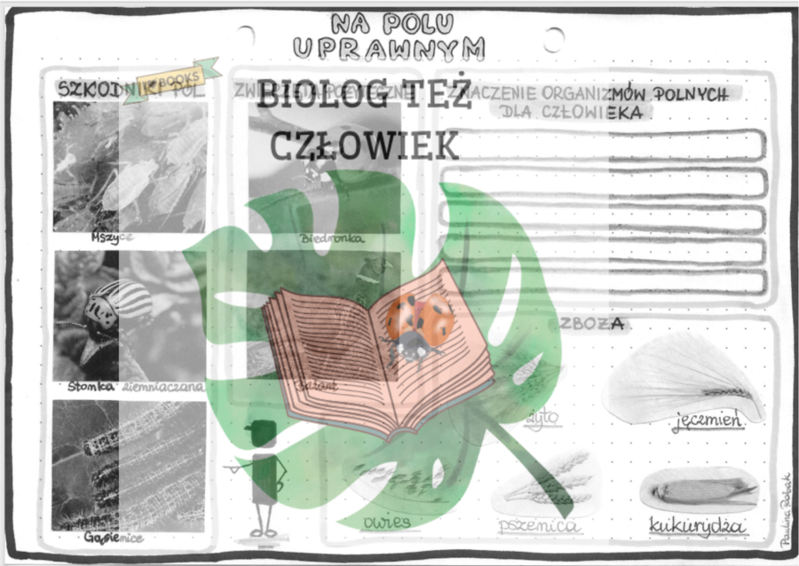 Na polu uprawnym - szarość