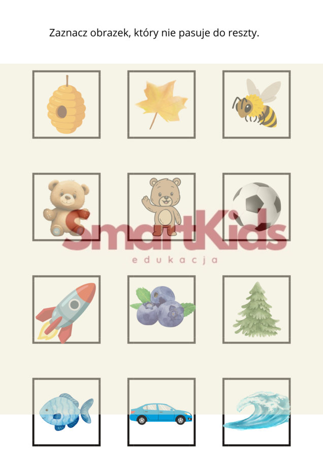 DZIEŃ PLUSZOWEGO MISIA-KARTY PRACY