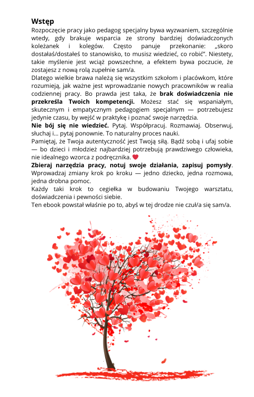 Ebook "Pedagog Specjalny w akcji" + plan pracy pedagoga specjalnego + dodatki