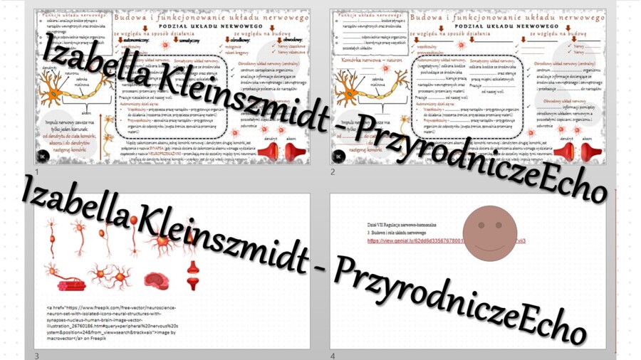 Minizestaw na temat „Budowa i rola układu nerwowego” – sketchnotka + karta pracy w power point + gratisowy link do prezentacji multimedialnej niekomercyjnej wykonanej w genial.ly do indywidualnego pobrania i użycia do celów niekomercyjnych. Biologia 7, „