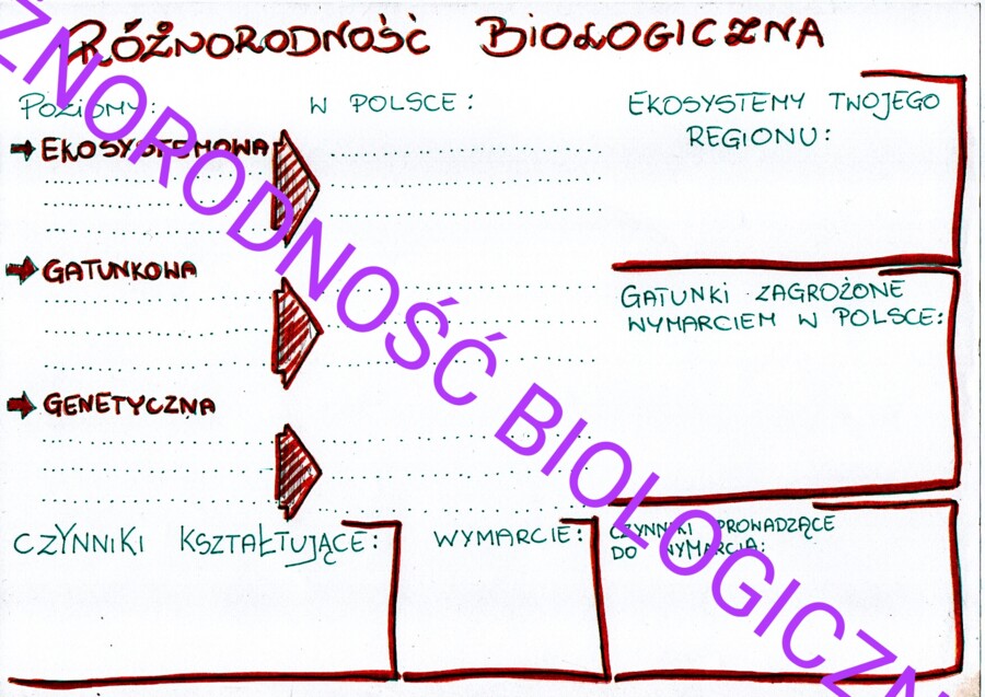 Różnorodność biologiczna