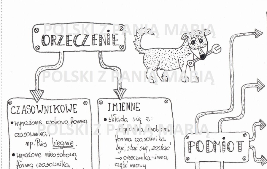 Typy orzeczeń i podmiotów