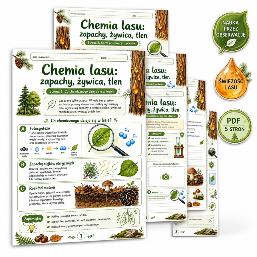 Chemia lasu: zapachy, żywica, tlen
