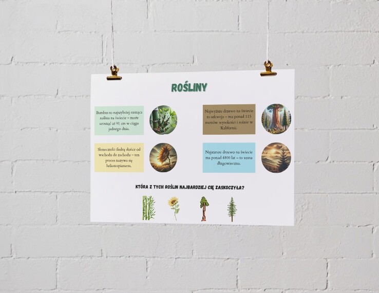 Plakaty z ciekawostkami. Zwierzęta. Rośliny. Ekosystemy. Jak dbać o ziemię?