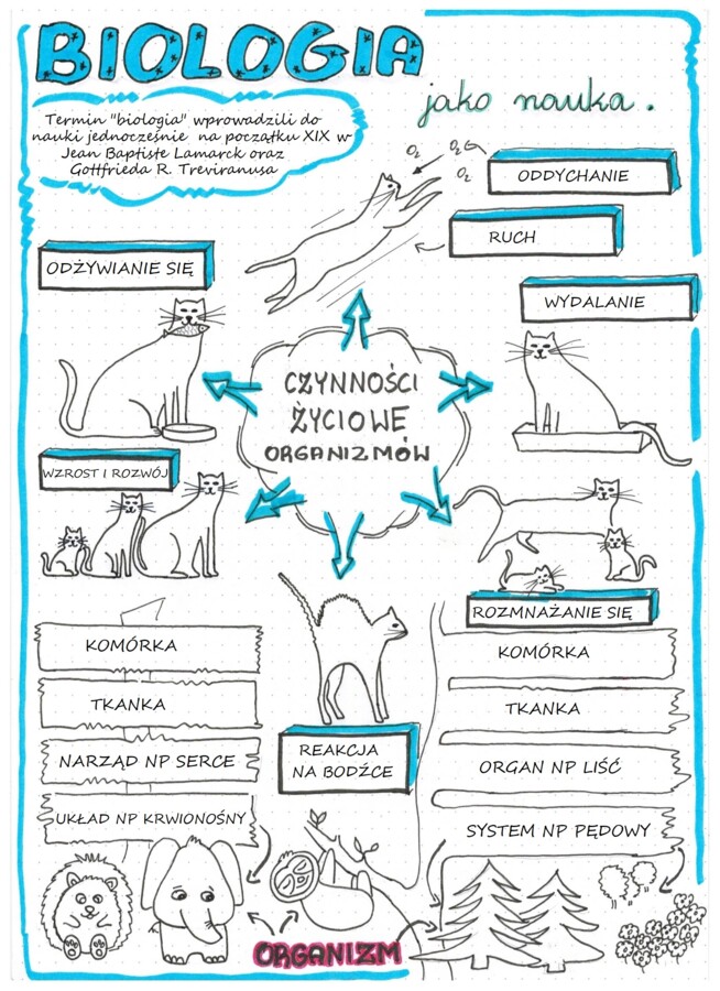 Biologia jako nauka - sketchnotka - biologia klasa 5