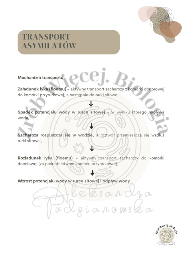 Biologia do matury - karty pracy z fizjologii roślin