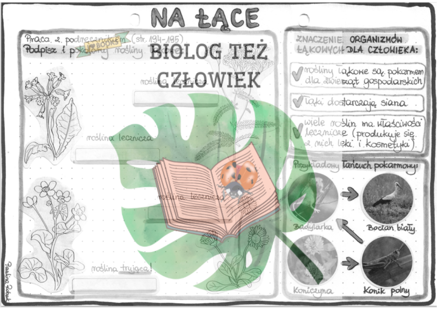 Na łące - szarość