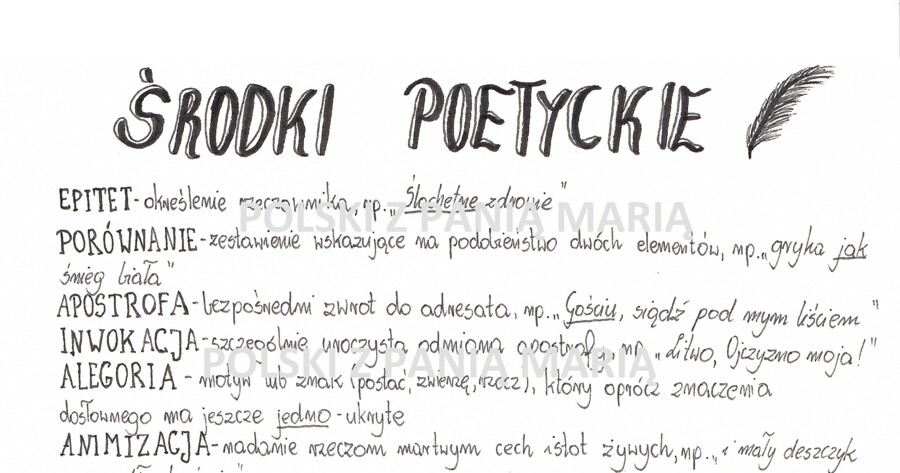 rysnotka "ŚRODKI POETYCKIE"
