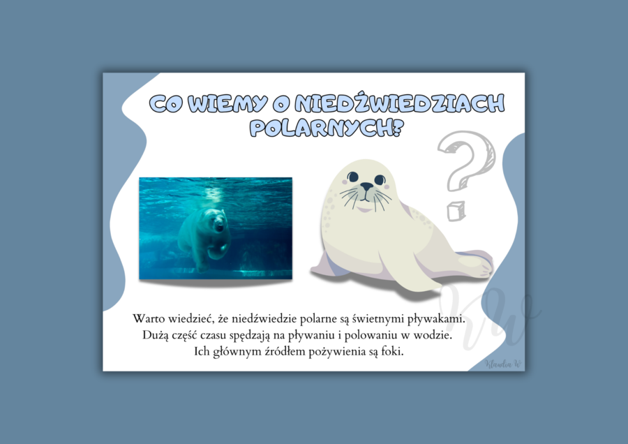 Dzień Niedźwiedzia Polarnego - zestaw