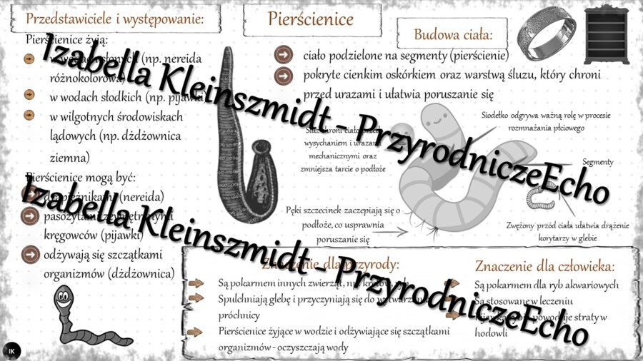 Sketchnotka - notatka „Pierścienice – zwierzęta, które mają segmentowane ciało” wykonana w power point do edycji. Biologia 6; „Od parzydełkowców do pierścienic”